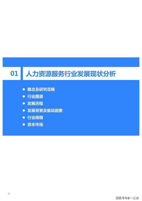 2021年中國人力資源服務(wù)行業(yè)軟件開發(fā)研究報(bào)告