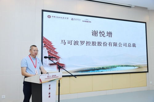 傳匠心 鑄國魂 馬可波羅文化遺產(chǎn)保護(hù)公益行動點亮敦煌莫高窟